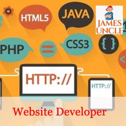 Website developer Mr. Subhranil Majumder in Salt Lake SAI Complex